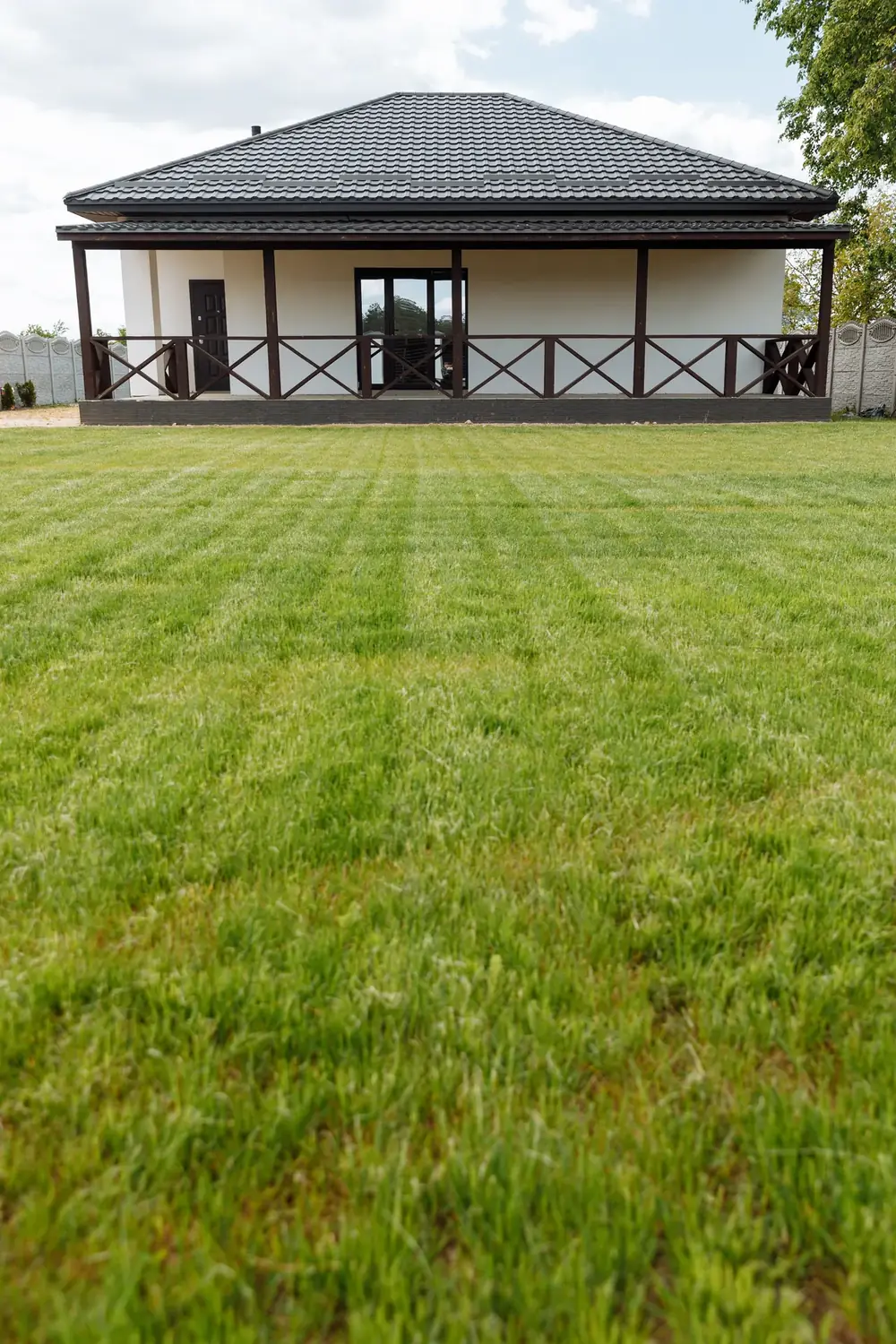 Mowed front lawn at a home