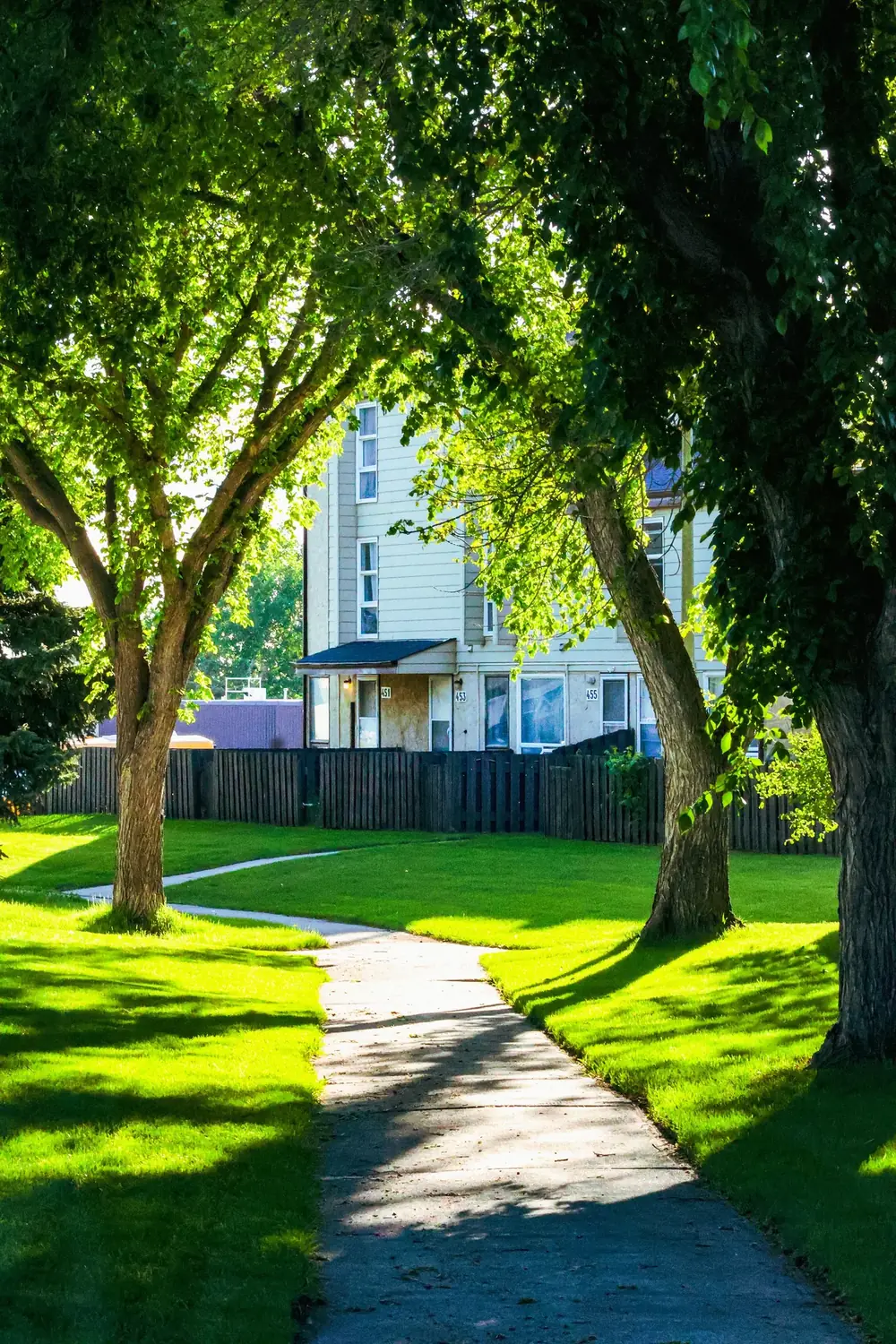 Shady yard with a path and trees