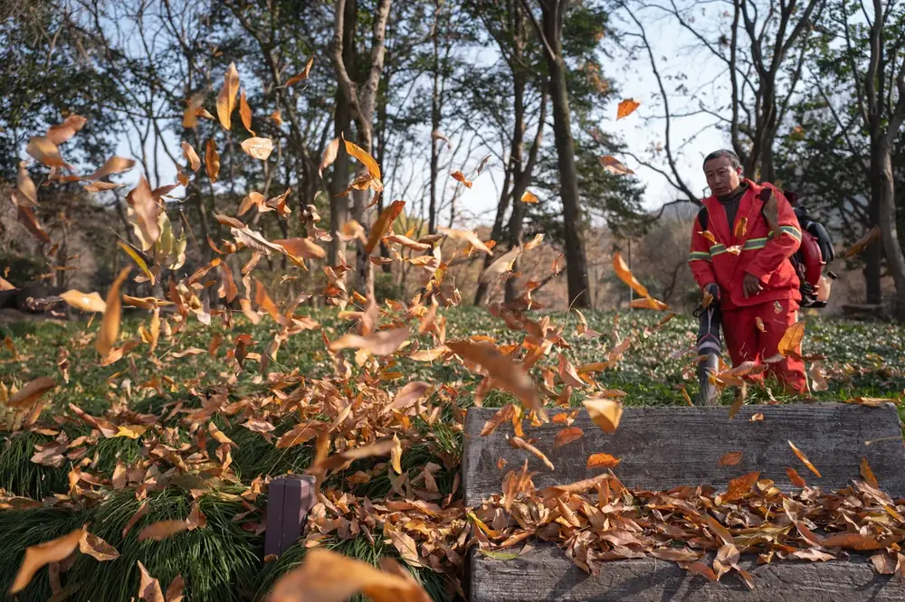 Clearing leaves with a blower