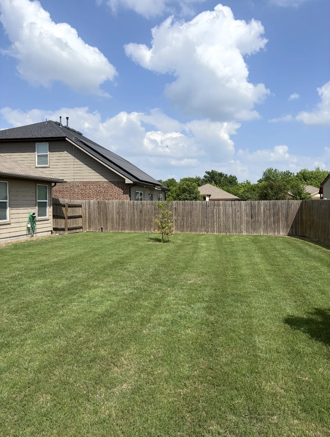 Striped backyard lawn after mowing